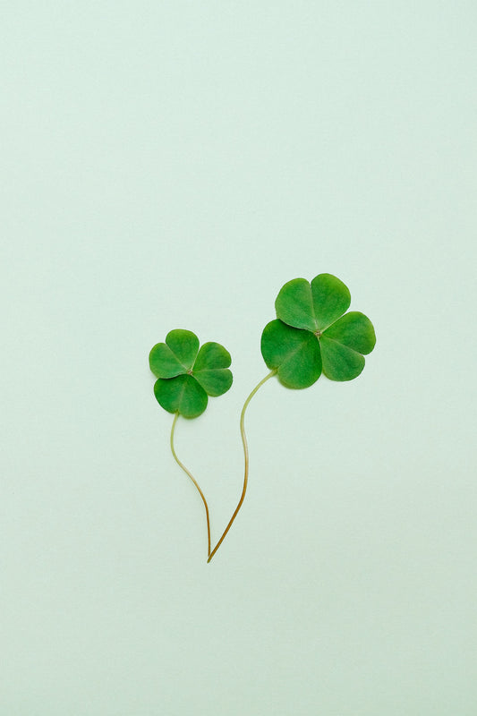 Here are 10 St. Patrick's Day Crafts for Toddler